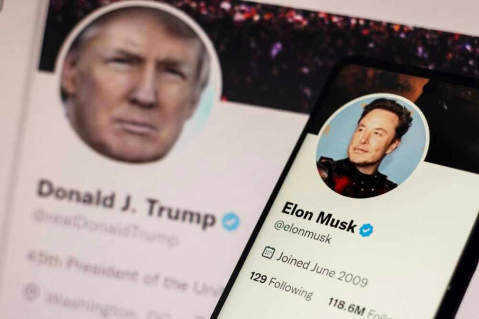 shutterstock_2320406293.jpg Donald Trump and Elon Musk Twitter profiles displayed