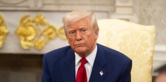 President Donald Trump