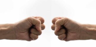 Two fists facing each other in a gesture of camaraderie