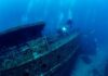 Alien-Like Underwater Creature Stuns Scientists Divers exploring a sunken shipwreck underwater