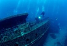 Alien-Like Underwater Creature Stuns Scientists Divers exploring a sunken shipwreck underwater