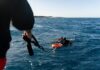 Fatal Shark Attack Shocks Companions Two scuba divers in the ocean being assisted by a person holding a rescue line