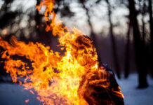 A silhouette of a person engulfed in flames in a forest setting