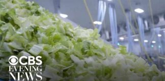FDA investigating new cyclospora outbreak