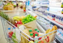 Parasite Panic: Mexican Lettuce DUMPED A shopping cart filled with fresh fruits, vegetables, and groceries