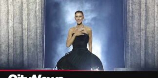 Celine Dion returns to the stage after illness