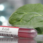 Deadly Lettuce? One State Sounds Alarm Test tube labeled E. coli next to a spinach leaf in a petri dish
