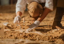 VIDEO: Noah’s Ark Clues Intensify Near Famed Mountain Archaeologist carefully excavating fossils in sandy soil