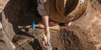 Archaeologist uncovering pottery at a dig site.