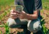Burger Wars Erupt: Ranchers Rage at White House A farmer counting cash in a field