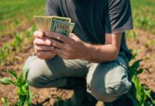 Burger Wars Erupt: Ranchers Rage at White House A farmer counting cash in a field