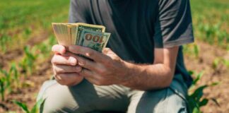 A farmer counting cash in a field