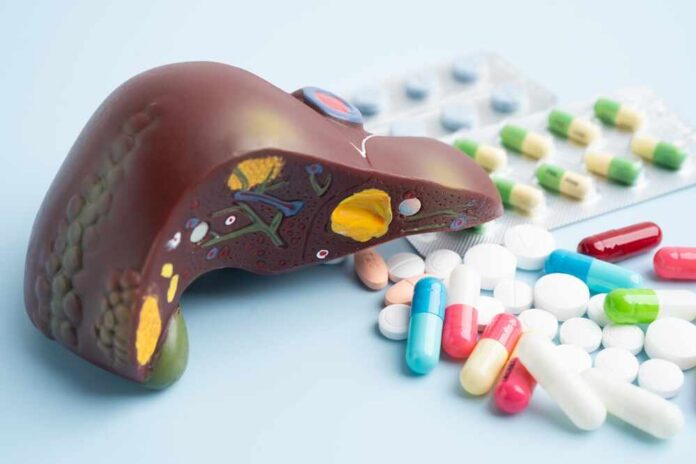 Liver,Model,With,Pill,Drug,Treatment,,Cirrhosis,,Liver,Cancer,,Fatty Doctor holding a detailed anatomical model of human organs