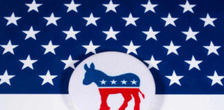 Democratic Party donkey on American flag background.