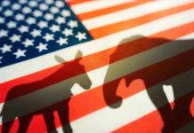 Shock: Republican Backs Democrat Donkey and elephant shadows on American flag background.