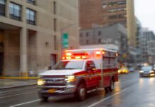 Seagull Snag, Dad Gone – Chilling Twist Ambulance with flashing lights driving on a wet city street